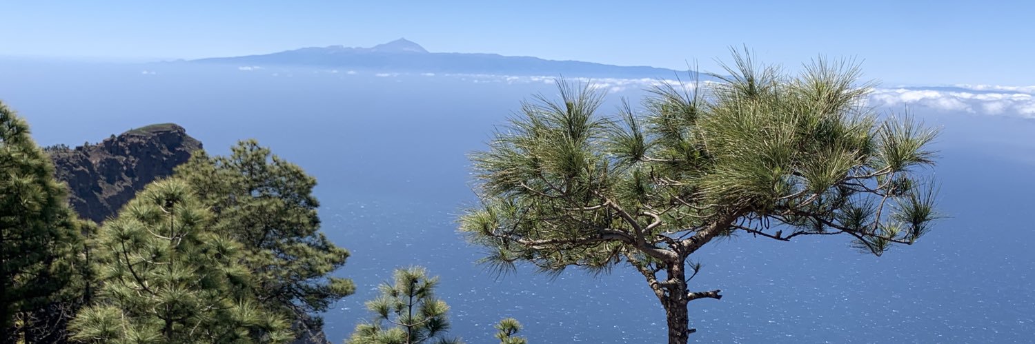 🇮🇨CanariSoul🇮🇨 banner