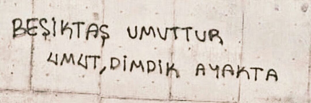 _selimakca's profile banner image