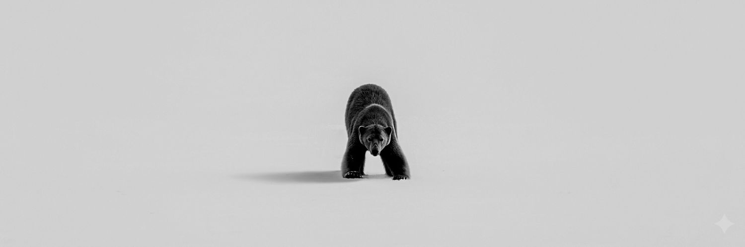Hazar banner