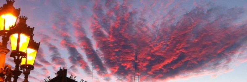 Mònica Miró Vinaixa banner