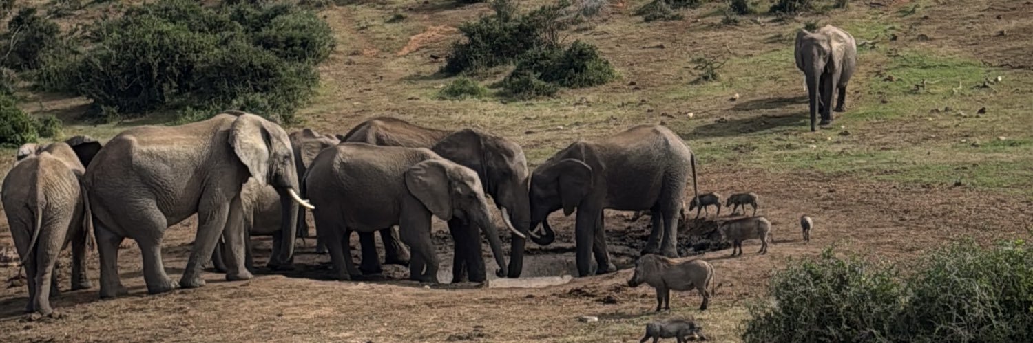 Letty Joseph 🌸 banner