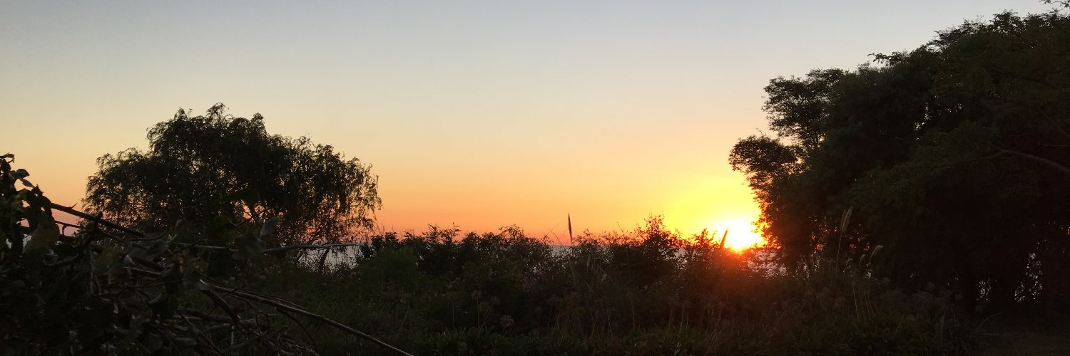 mamactas's profile banner image