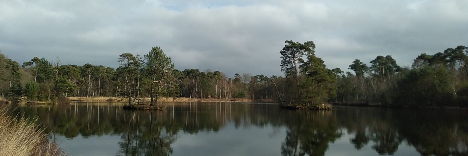 Runa Hellinga banner