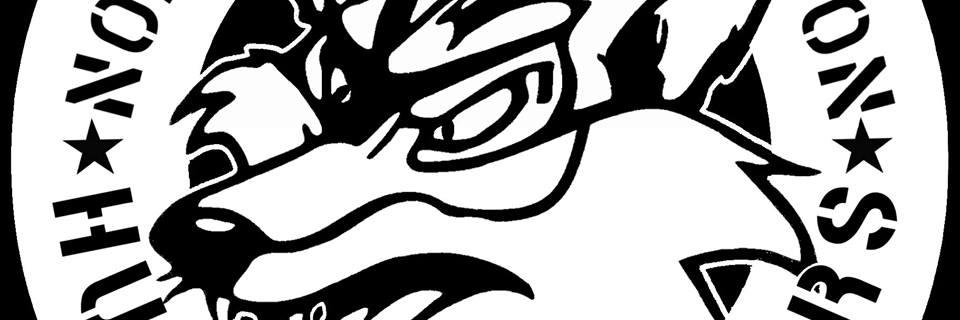 NELSabs's profile banner image