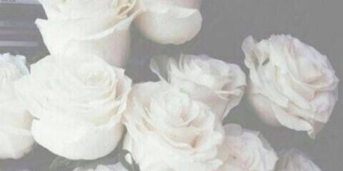 ffflorenciag's profile banner image
