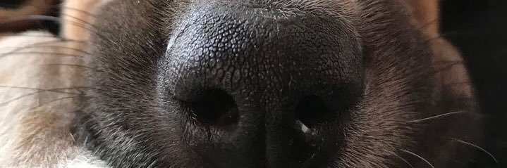 RanyBrenda's profile banner image