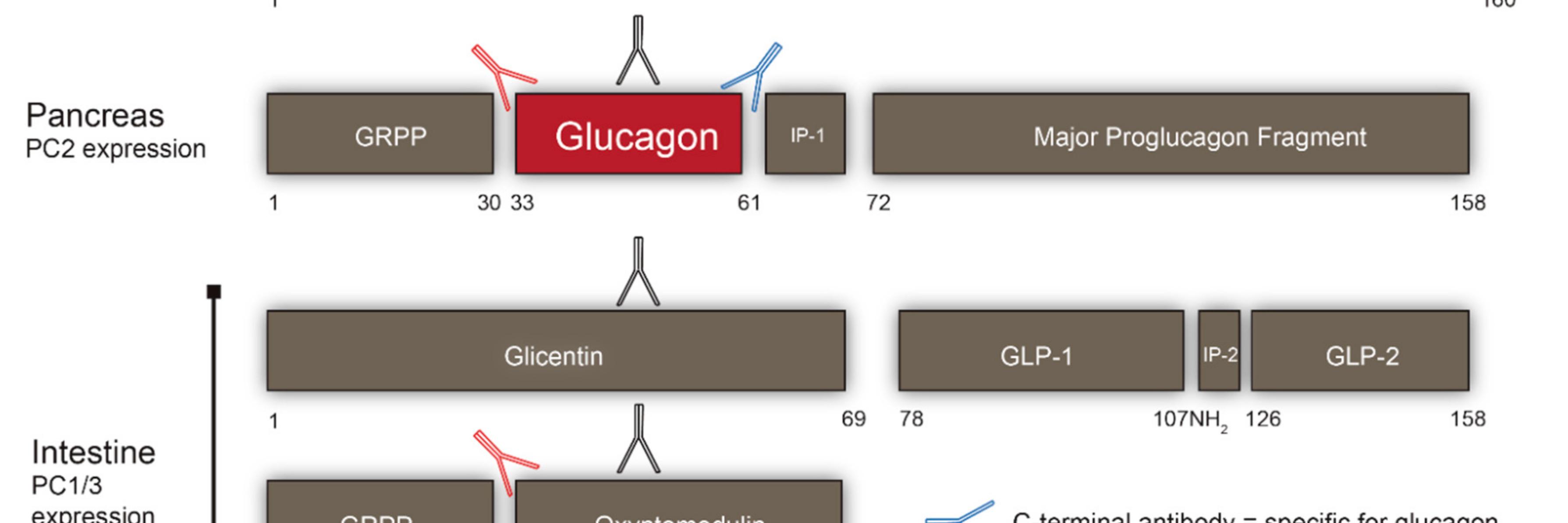 Nicolai J. Wewer Albrechtsen banner