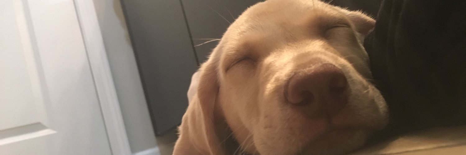 Gabe_Witmer's profile banner image