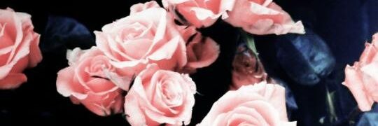margarmai's profile banner image