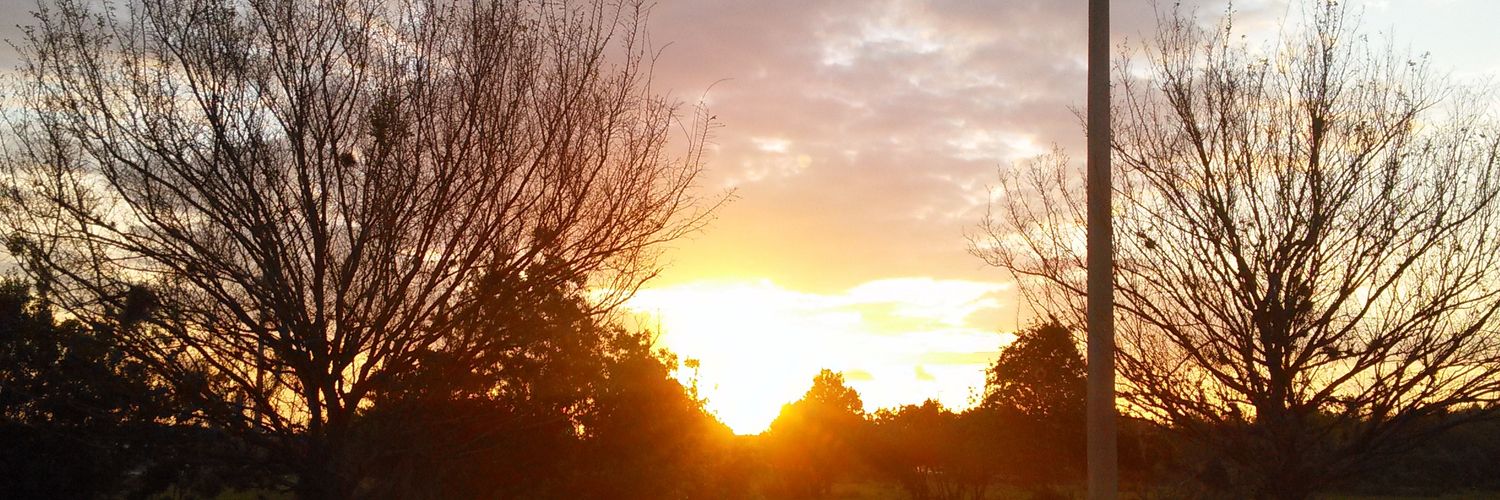 highondaright's profile banner image