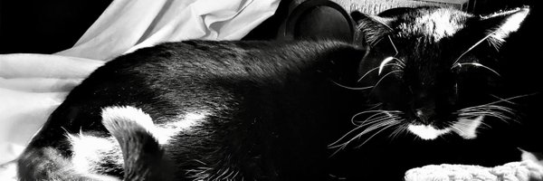 NikkiElizDemere Profile Banner