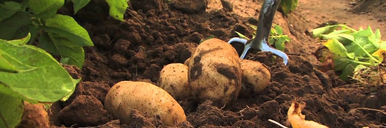 Munyaradzi Musamba banner