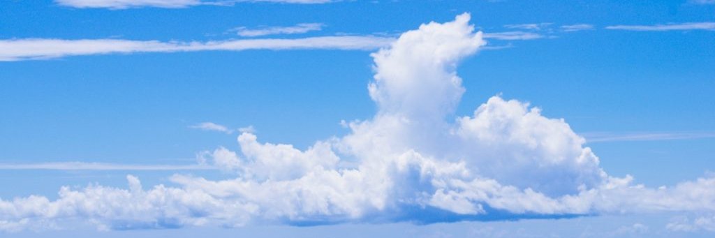 Alexsandrocat's profile banner image
