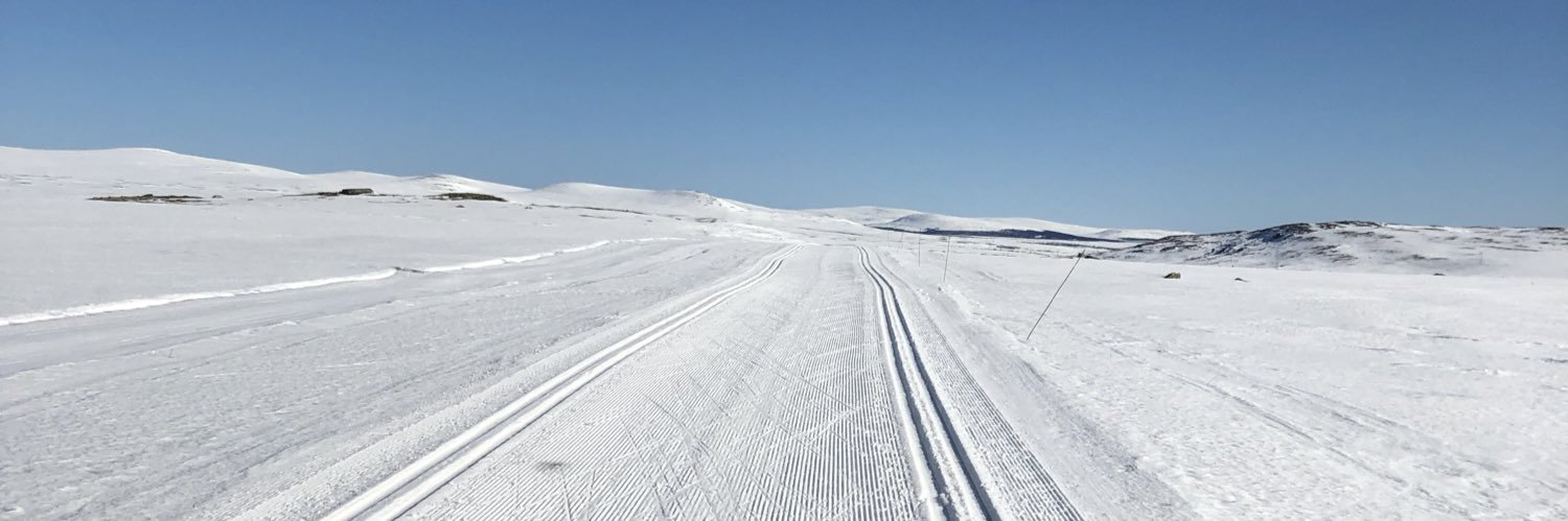 ASkreosen's profile banner image