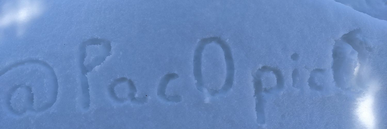pac0pic0's profile banner image
