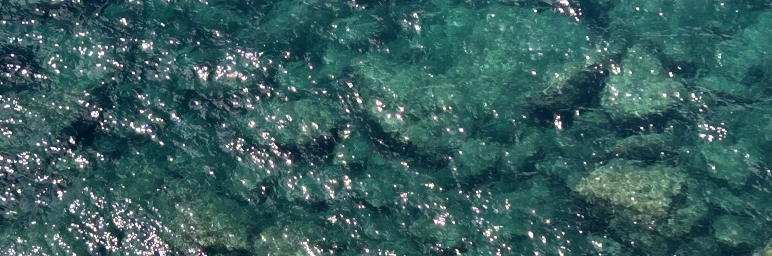 melanie banner