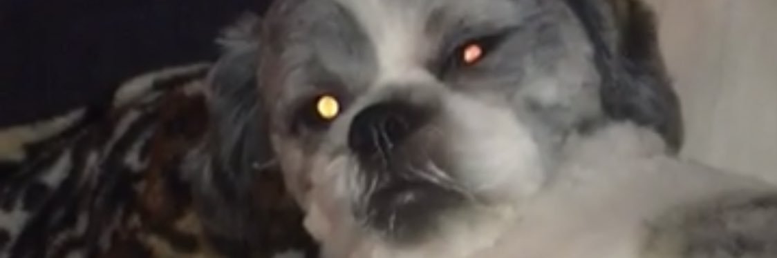 lilymgana's profile banner image
