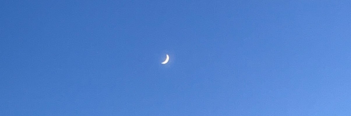 justbebeck's profile banner image