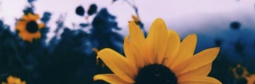DanielaCarlino's profile banner image