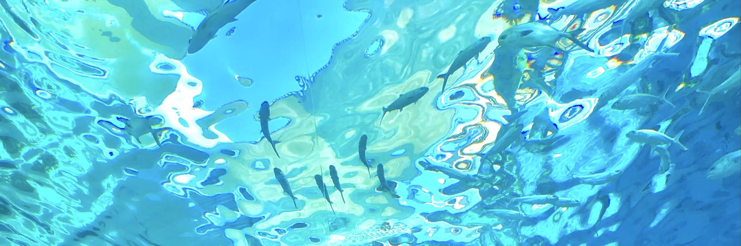 tobiaskathx's profile banner image
