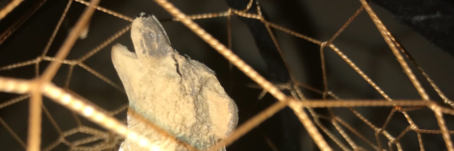 munox630's profile banner image