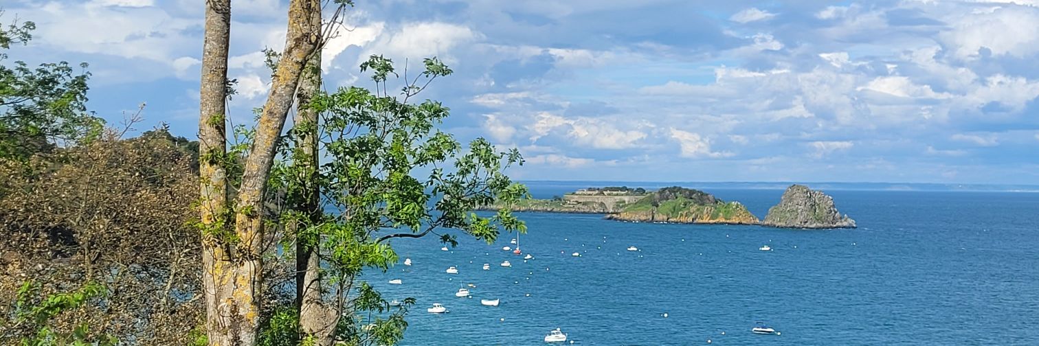 Dominique Ryaux banner