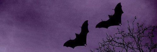 vladracul_'s profile banner image