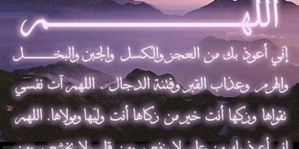 loza_oooo's profile banner image