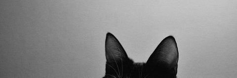 tjordon0294's profile banner image