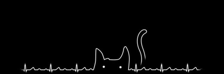 caatr__'s profile banner image