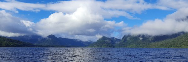 MarioNegreteA Profile Banner