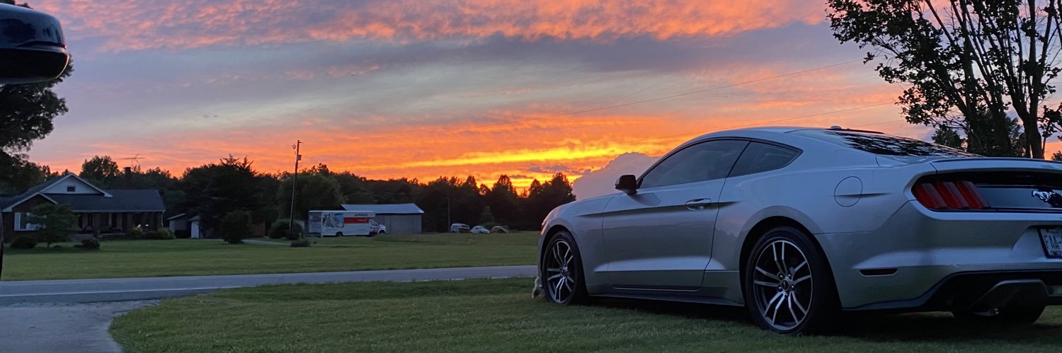 TaylorWilson341's profile banner image