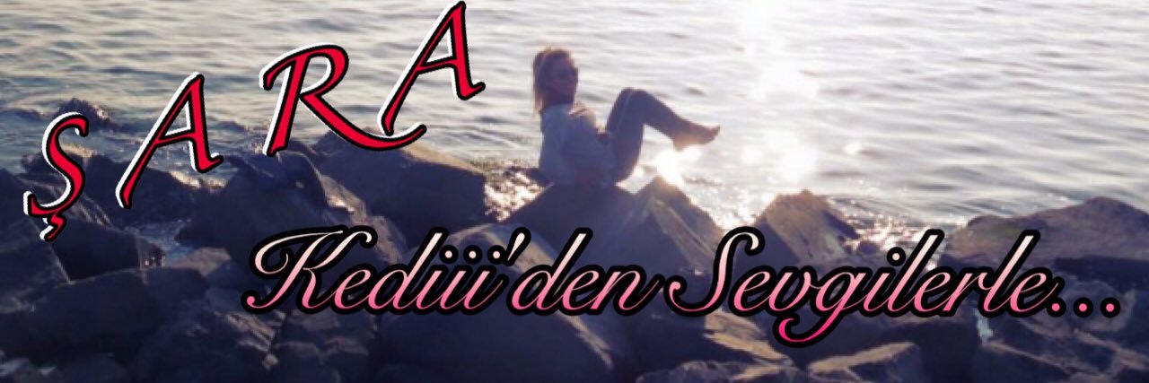 kedi2334's profile banner image