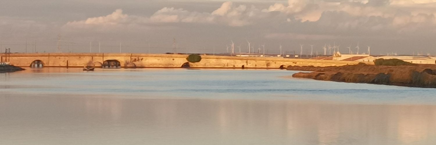 Me llamo Mamarracho banner