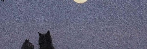 AldoCWy Profile Banner