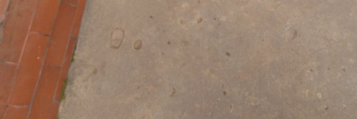 Raskaelo banner