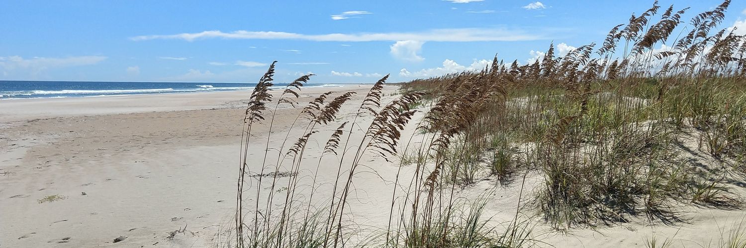 Joe Long, UNCW banner