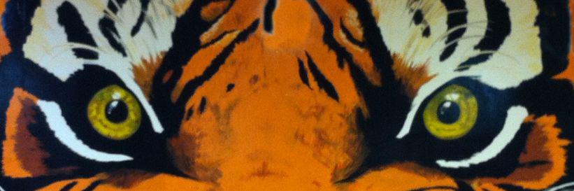 Bengal2018's profile banner image