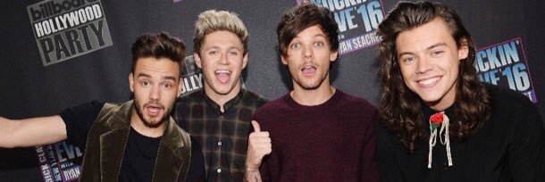 Directioner banner