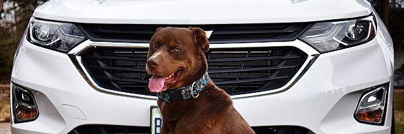 tatum663's profile banner image