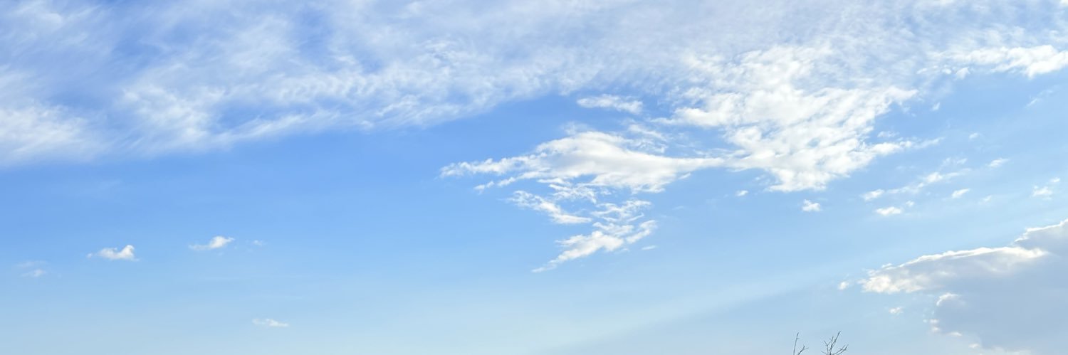 bashounahuii's profile banner image