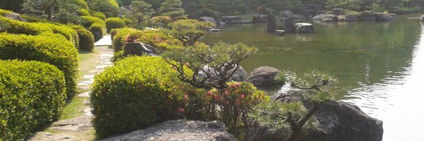 BinaOgbebor Profile Banner