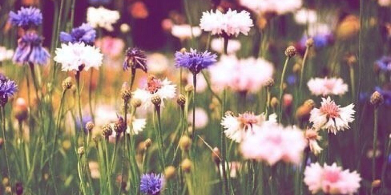 kyleigh_grace's profile banner image