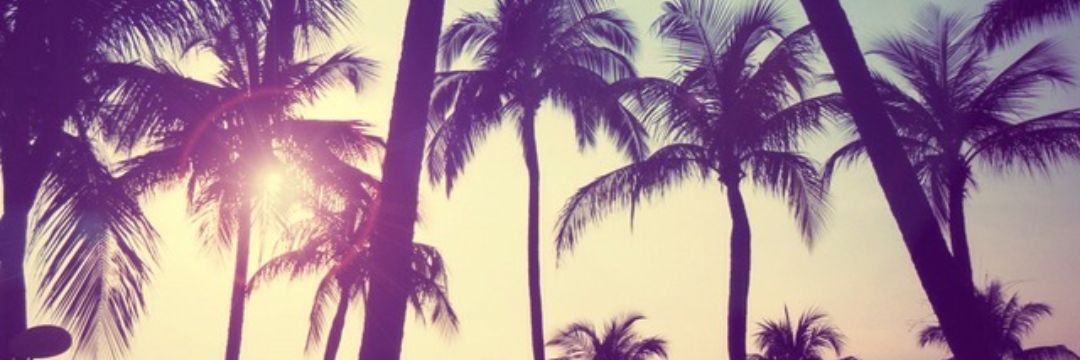 Demique banner