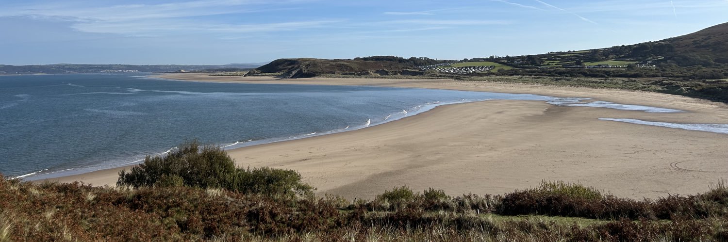 Robert Ferris banner