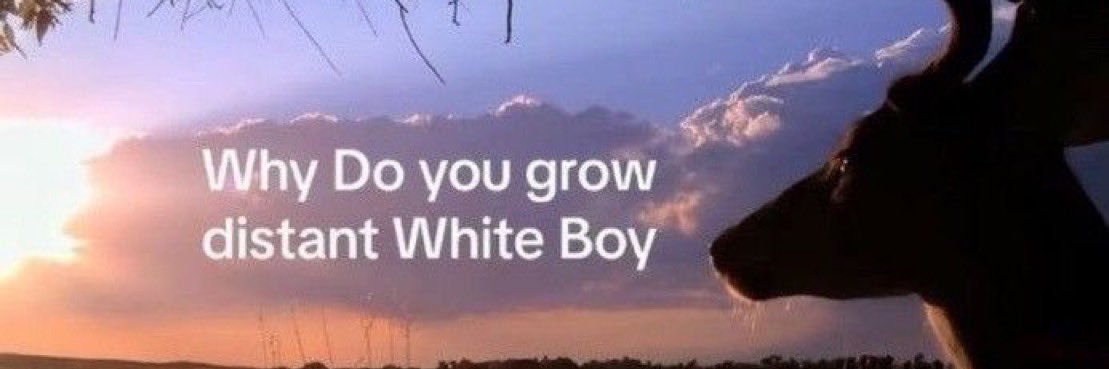 rustyforeskin's profile banner image