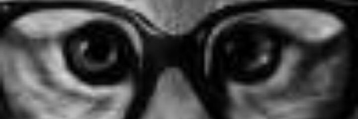 BÜLENT CEYLAN banner