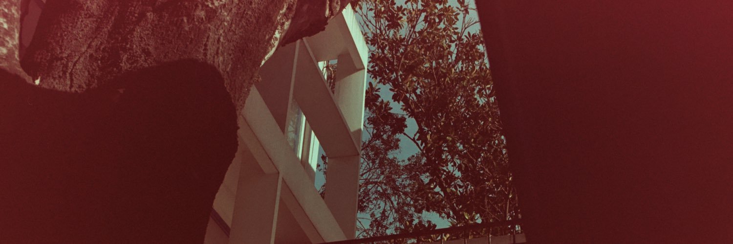 MayaCardillo's profile banner image
