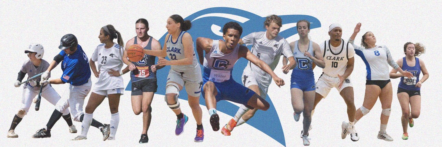 Clark Penguins banner