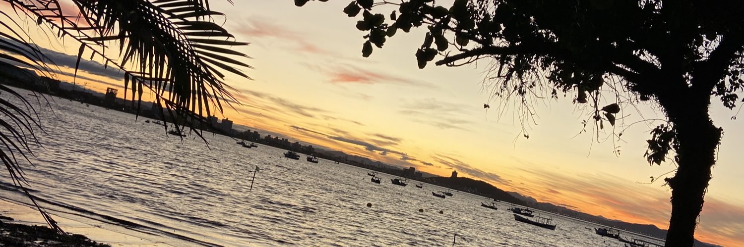 Cerutii_'s profile banner image